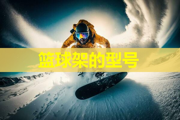 篮球架的型号 篮球架的型号