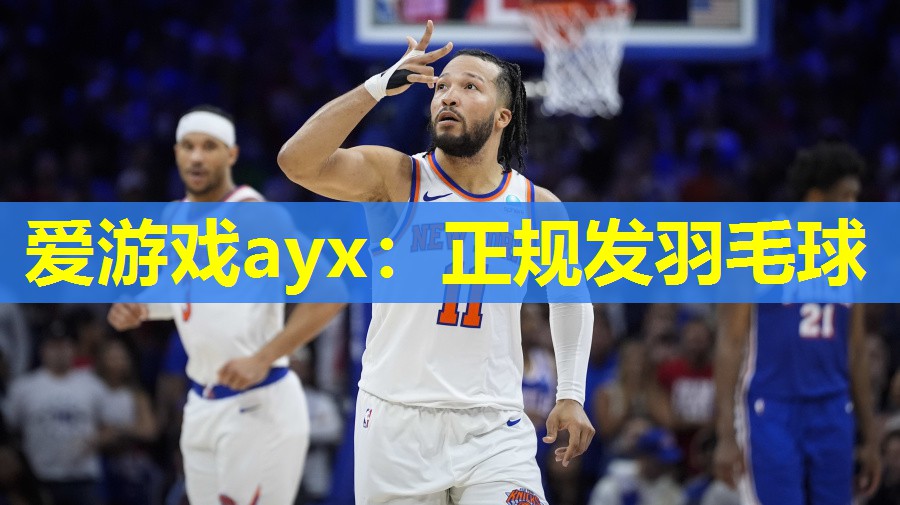 正规发羽毛球 正规发羽毛球