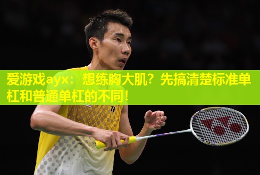 想练胸大肌?先搞清楚标准单杠和普通单杠的不同! 想练胸大肌?先搞清楚标准单杠和普通单杠的不同!