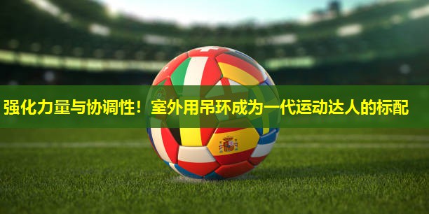 强化力量与协调性!室外用吊环成为一代运动达人的标配 强化力量与协调性!室外用吊环成为一代运动达人的标配