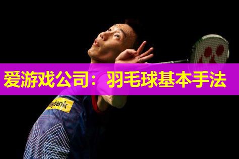 羽毛球基本手法 羽毛球基本手法