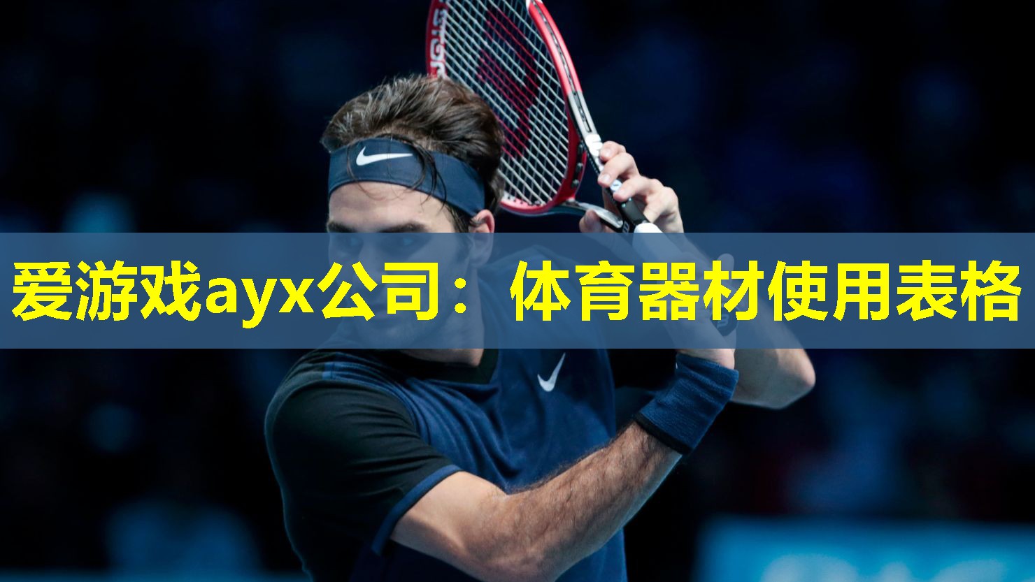 体育器材使用表格 体育器材使用表格