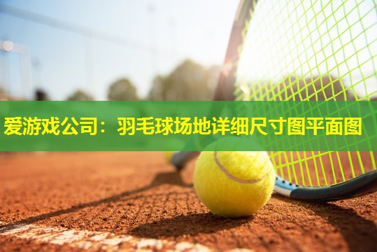 羽毛球场地详细尺寸图平面图 羽毛球场地详细尺寸图平面图
