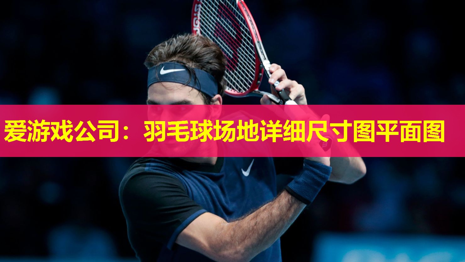 羽毛球场地详细尺寸图平面图 羽毛球场地详细尺寸图平面图