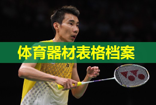 体育器材表格档案 体育器材表格档案