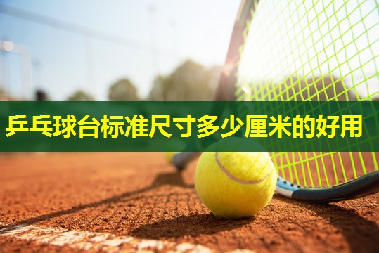 乒乓球台标准尺寸多少厘米的好用 乒乓球台标准尺寸多少厘米的好用