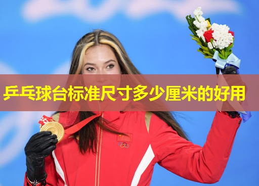 乒乓球台标准尺寸多少厘米的好用 乒乓球台标准尺寸多少厘米的好用