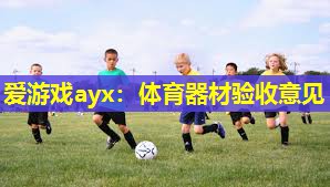 体育器材验收意见 体育器材验收意见