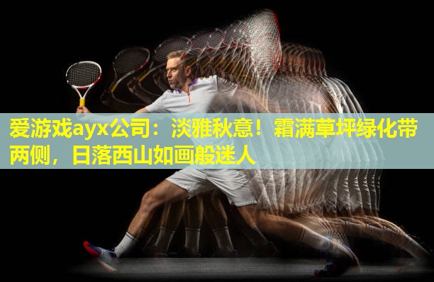 淡雅秋意!霜满草坪绿化带两侧,日落西山如画般迷人 淡雅秋意!霜满草坪绿化带两侧,日落西山如画般迷人
