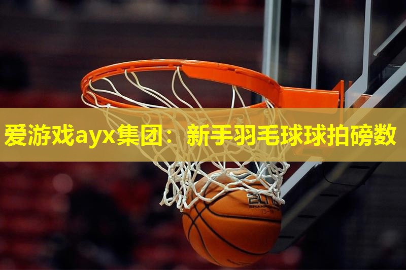 新手羽毛球球拍磅数 新手羽毛球球拍磅数