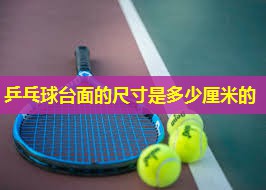 乒乓球台面的尺寸是多少厘米的 乒乓球台面的尺寸是多少厘米的