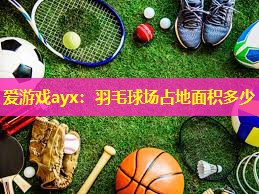 羽毛球场占地面积多少 羽毛球场占地面积多少