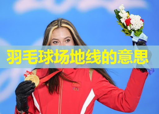 羽毛球场地线的意思 羽毛球场地线的意思