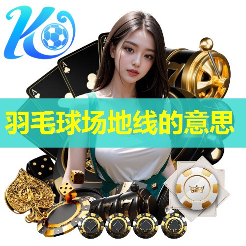 羽毛球场地线的意思 羽毛球场地线的意思