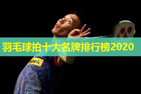 羽毛球拍十大名牌排行榜2020 羽毛球拍十大名牌排行榜2020