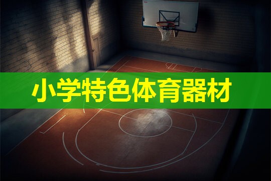 小学特色体育器材 小学特色体育器材