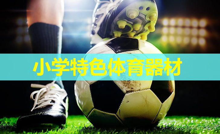 小学特色体育器材 小学特色体育器材