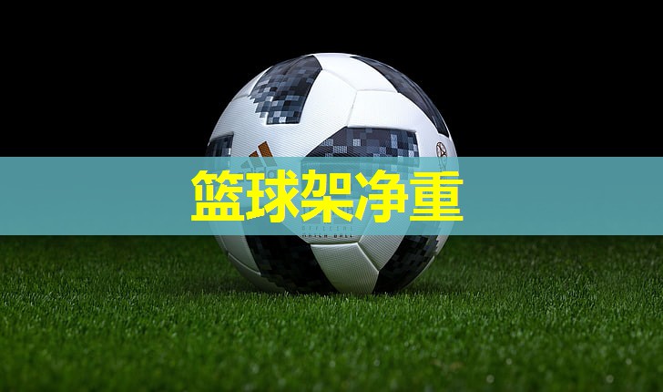 篮球架净重 篮球架净重