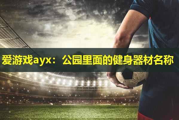 公园里面的健身器材名称 公园里面的健身器材名称