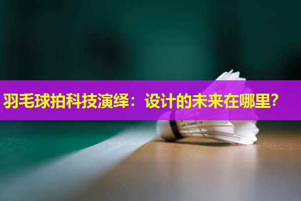 羽毛球拍科技演绎:设计的未来在哪里? 羽毛球拍科技演绎:设计的未来在哪里?