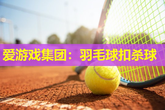 羽毛球扣杀球 羽毛球扣杀球
