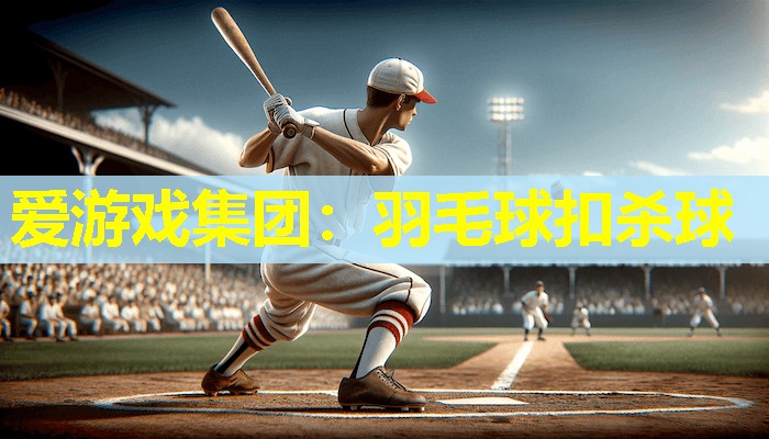 羽毛球扣杀球 羽毛球扣杀球