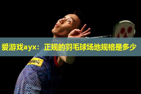 正规的羽毛球场地规格是多少 正规的羽毛球场地规格是多少
