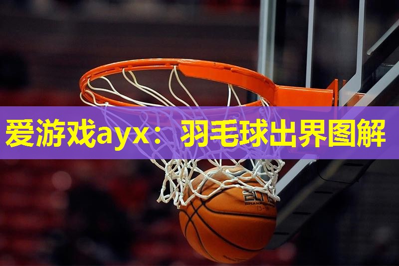 羽毛球出界图解 羽毛球出界图解