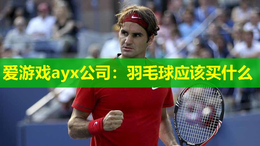 羽毛球应该买什么 羽毛球应该买什么