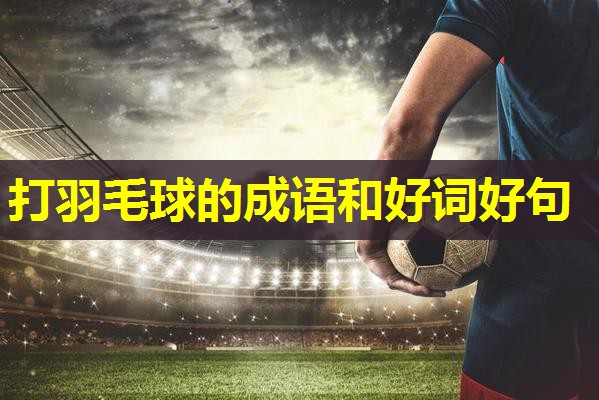 打羽毛球的成语和好词好句 打羽毛球的成语和好词好句