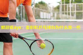 金彩虹乒乓球台为什么贵一些 金彩虹乒乓球台为什么贵一些