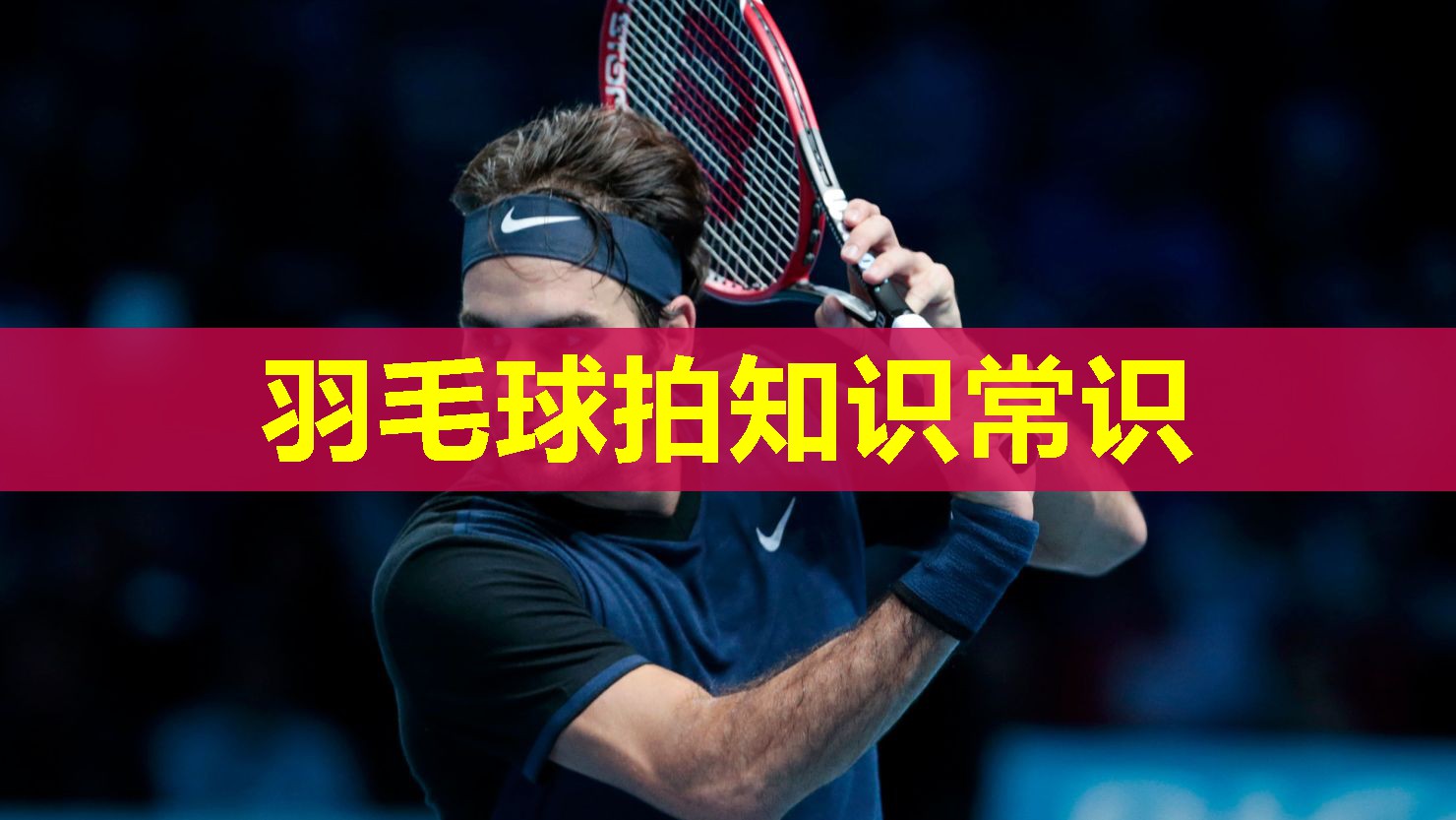 羽毛球拍知识常识 羽毛球拍知识常识