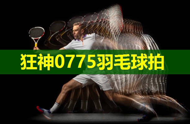 狂神0775羽毛球拍 狂神0775羽毛球拍